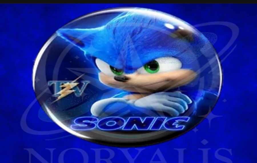 SONIC 12 MOIS