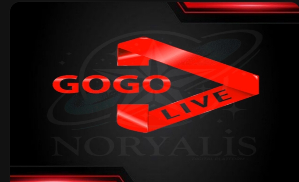 GOGO 6 MOIS