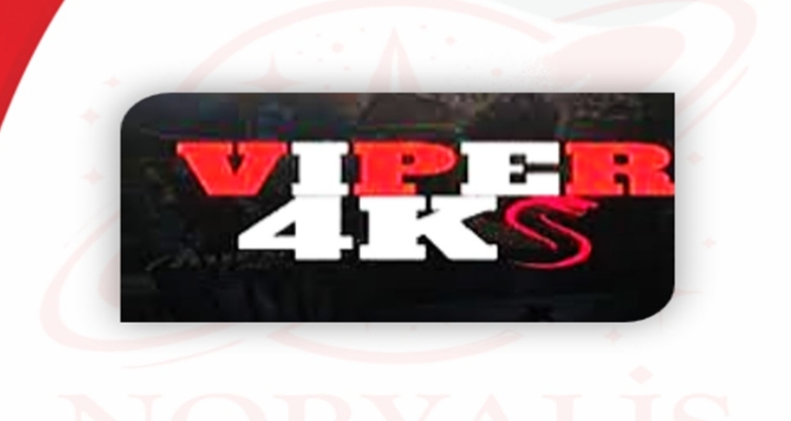 VIPER 4K 3 MOIS