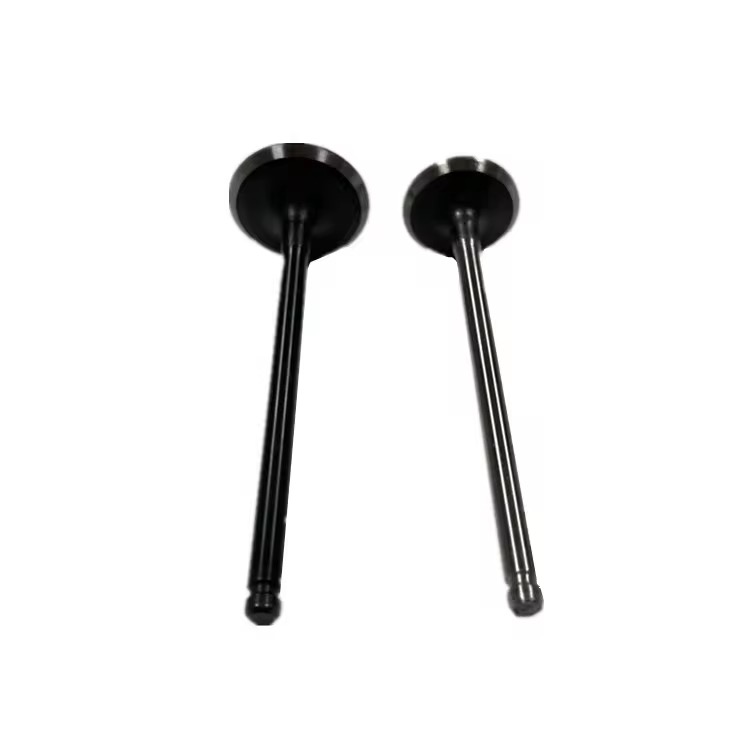 Toyota Engine Valve