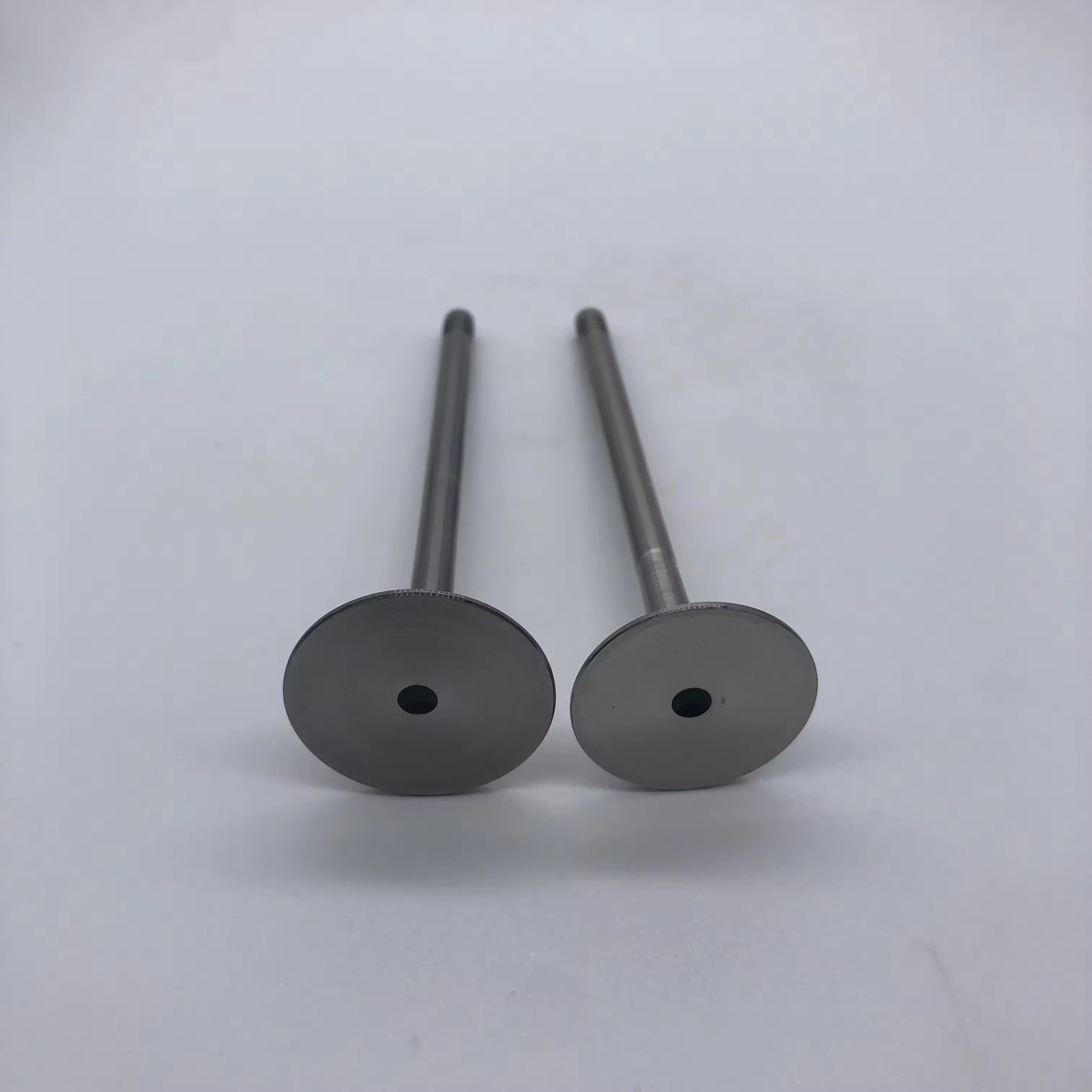 Bmw Engine Valve