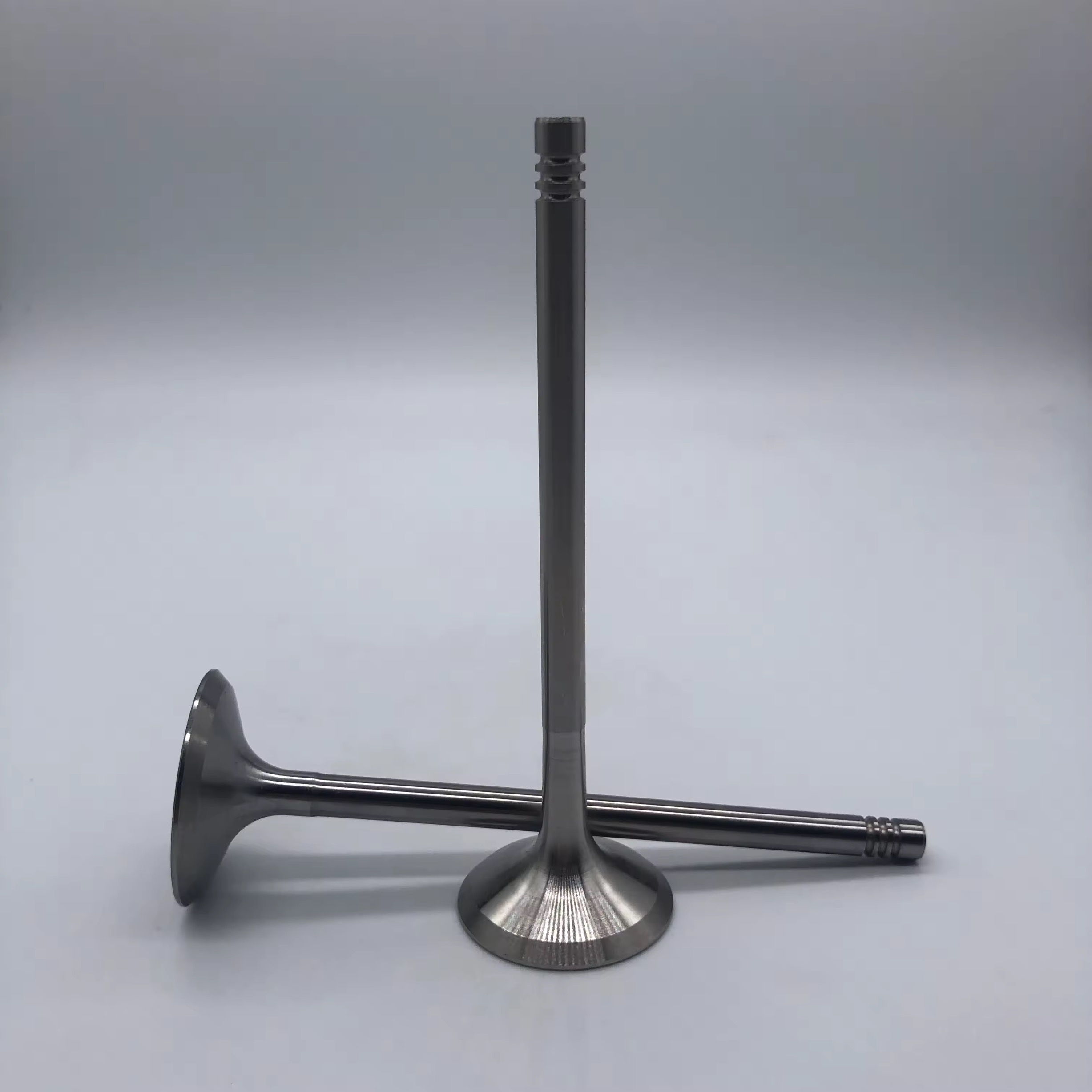 Bmw Engine Valve