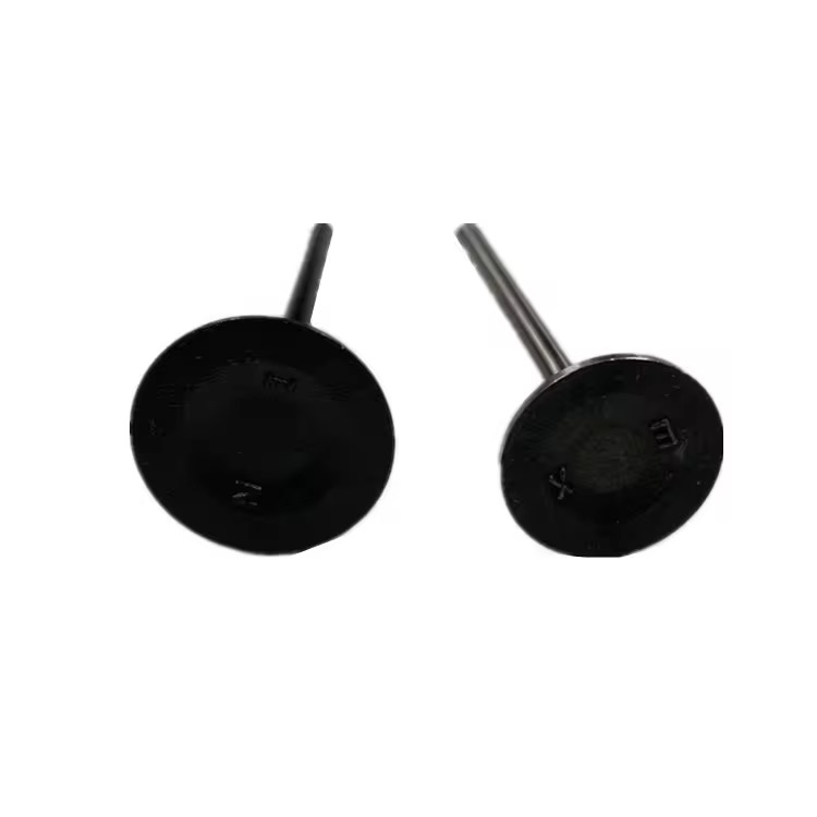 Toyota Engine Valve