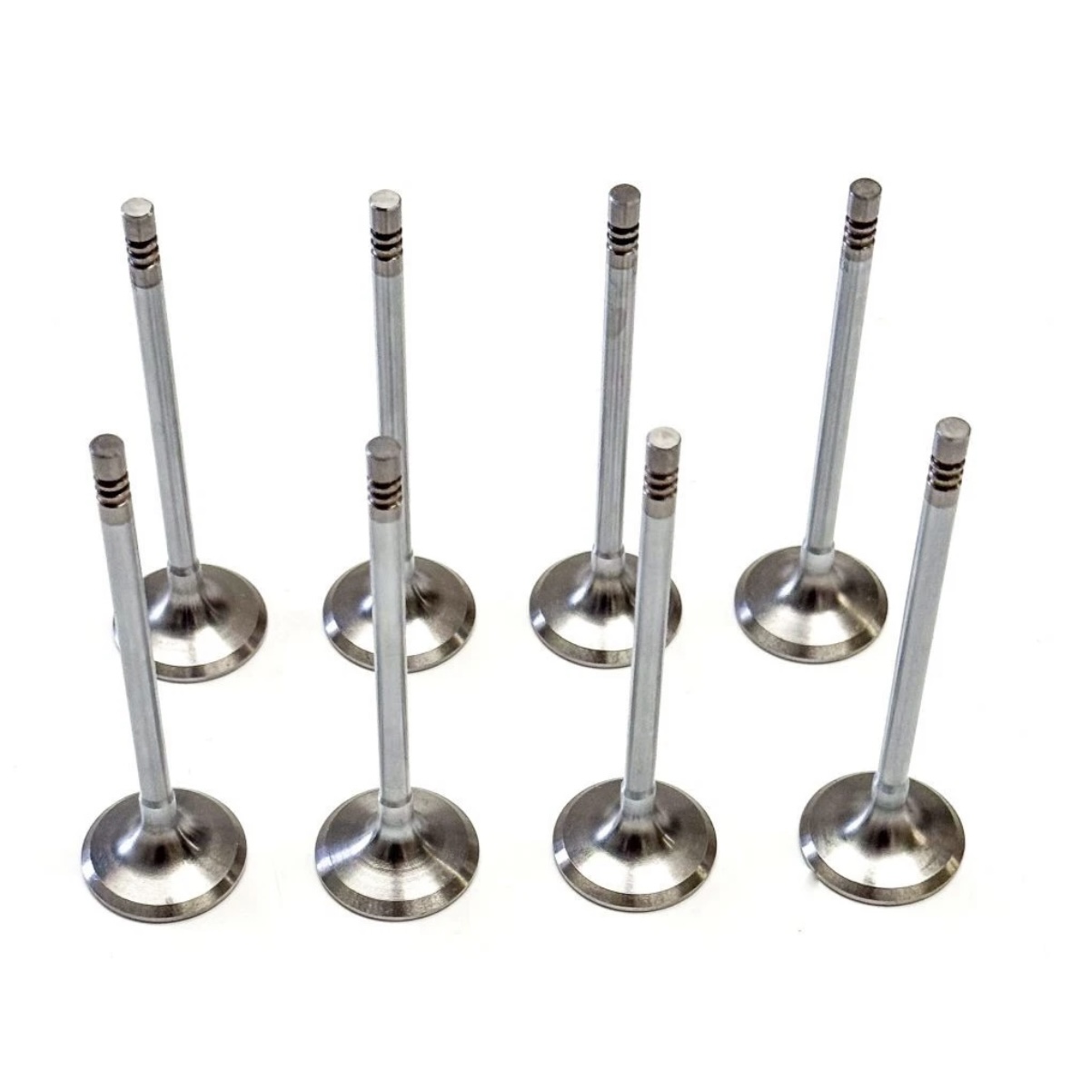 BMW Engine Valves 