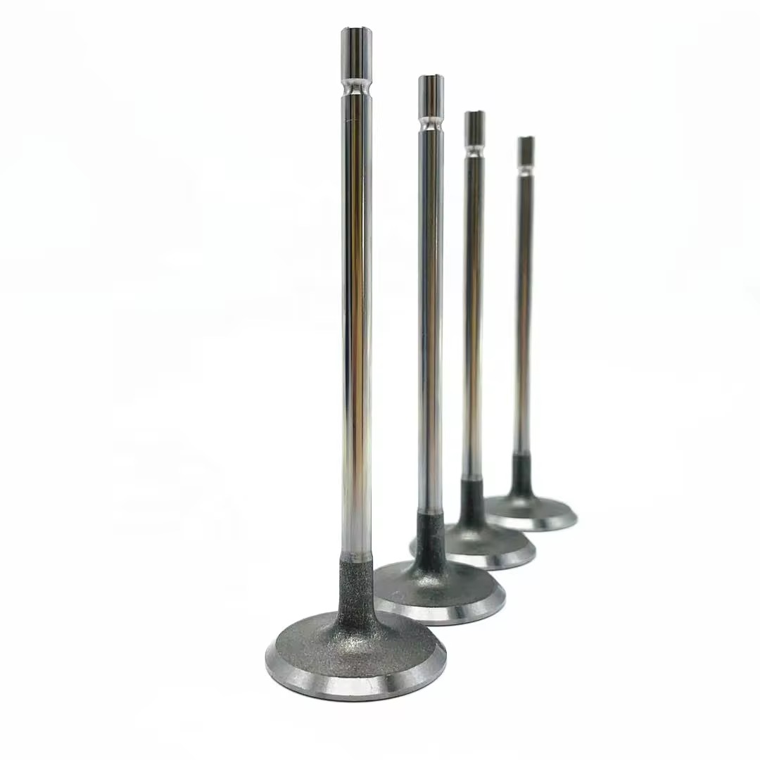 Renault Engine valves