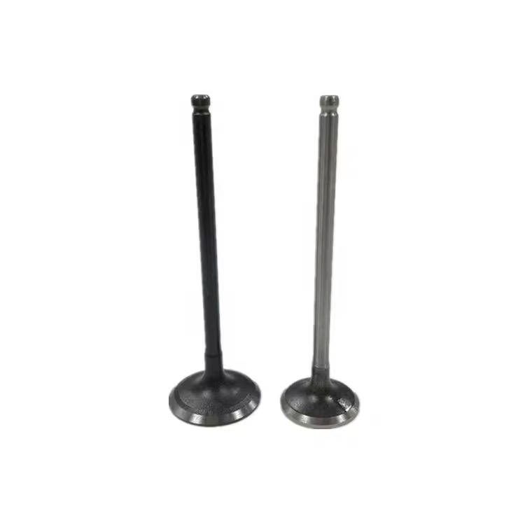 Toyota Engine Valve