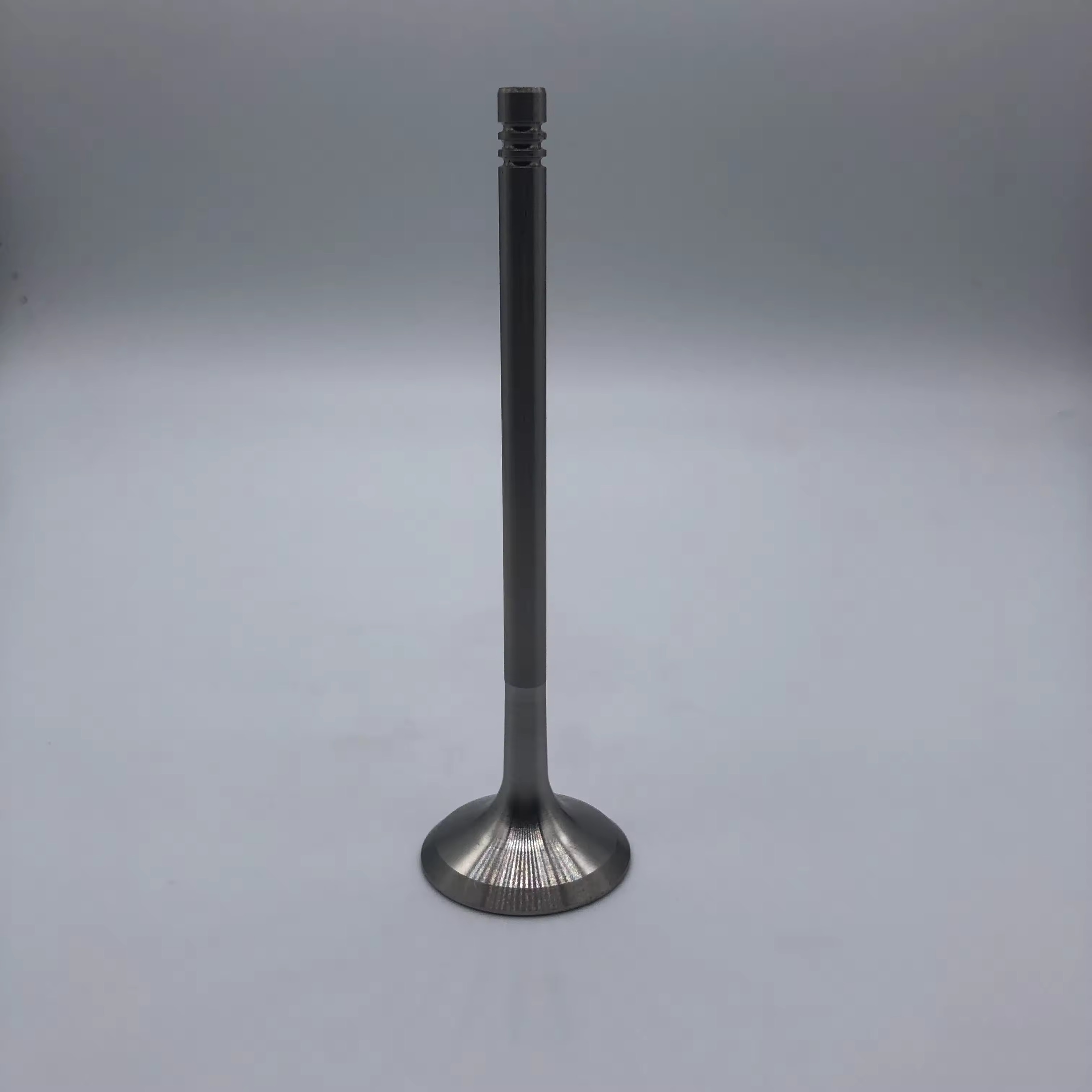 Bmw Engine Valve
