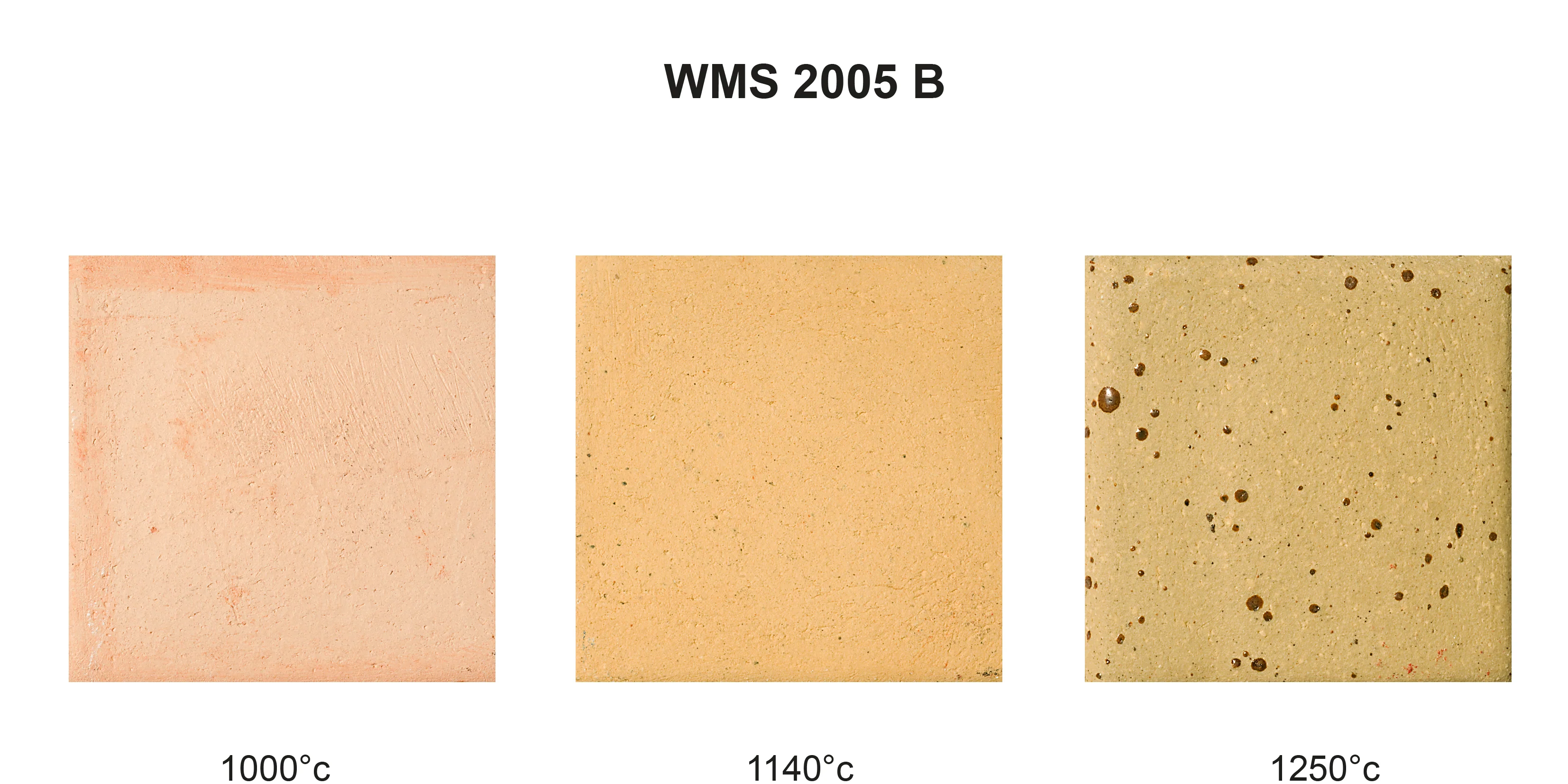 Stoneware Clay with Speckle WMS2005B (Buff) 10Kg Bag