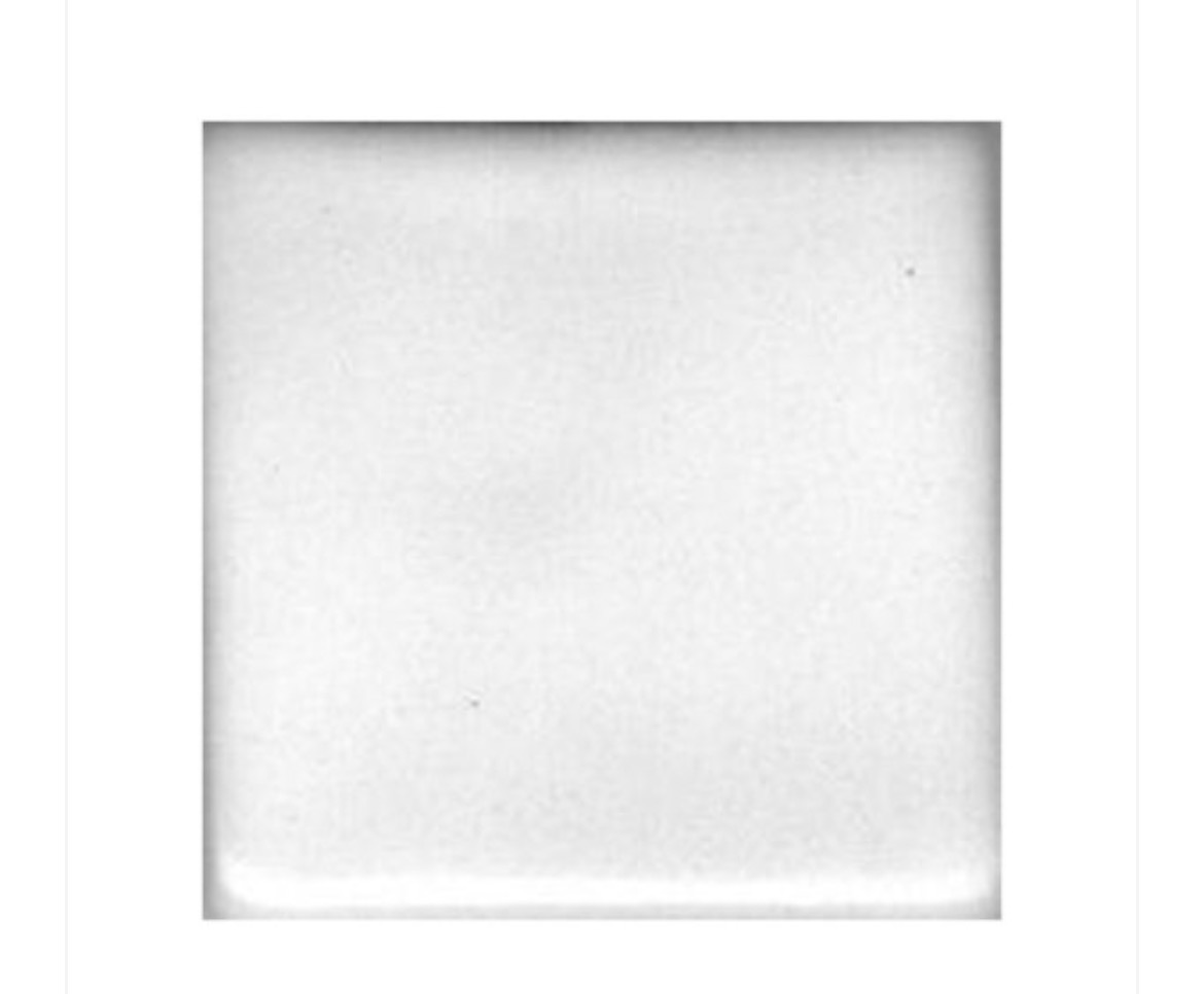 Coyote Satin White Liner