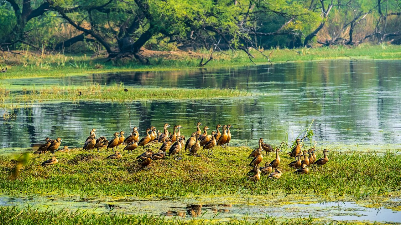 Golden Triangle with Ranthambore [7N/8D]