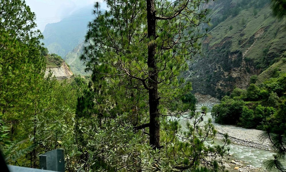 Jibhi Tirthan Valley Trip  Form Delhi [3N/4D]