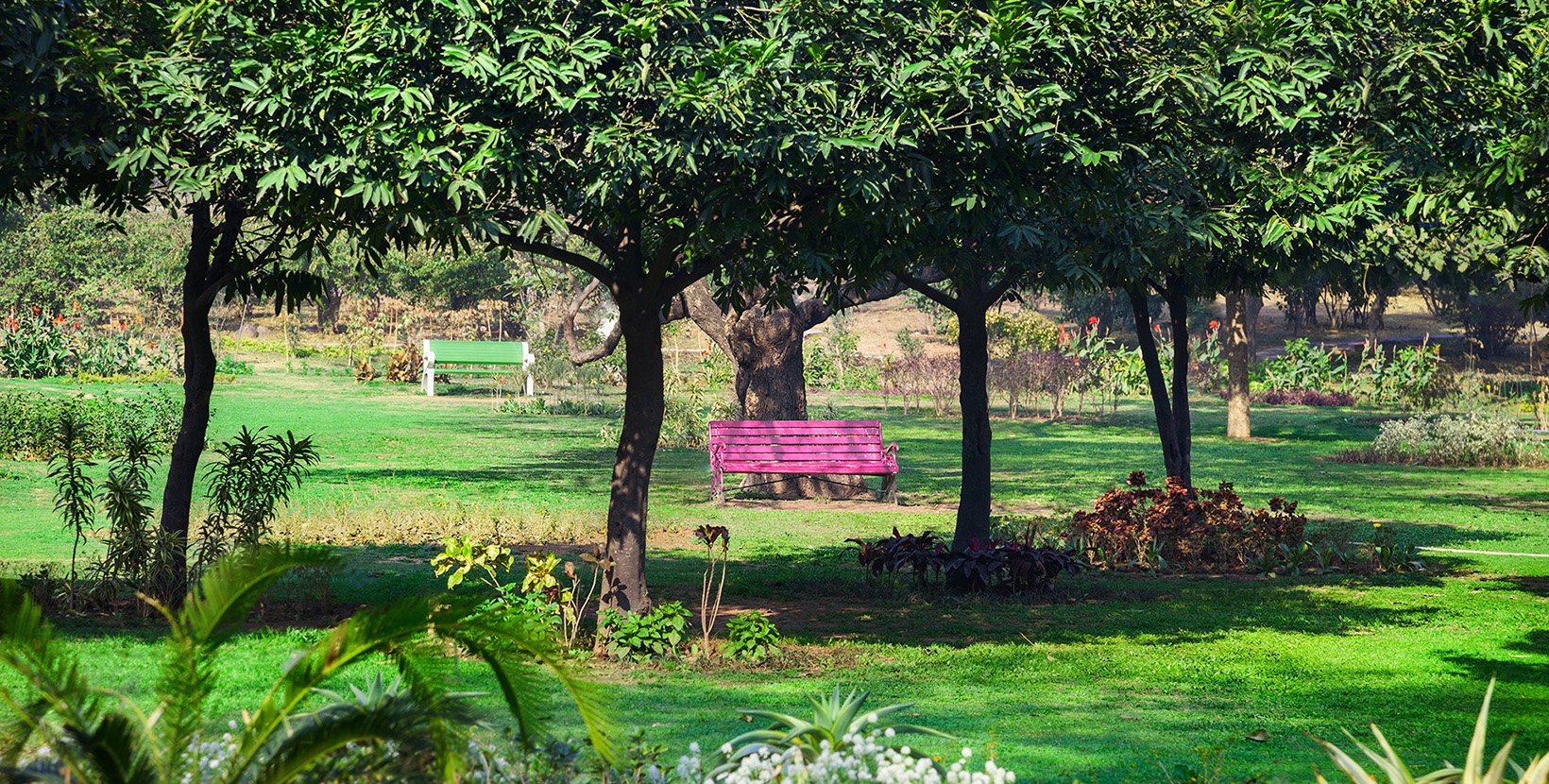 Special Delhi Tour  [2N/3D]