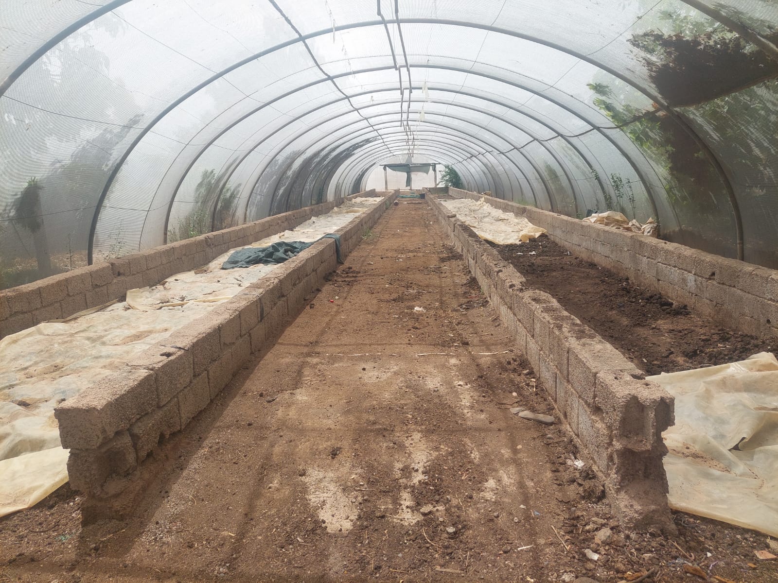 Vermicompost