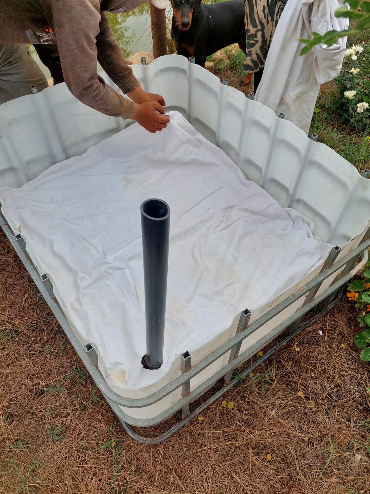 Wicking Bed Ready To Use