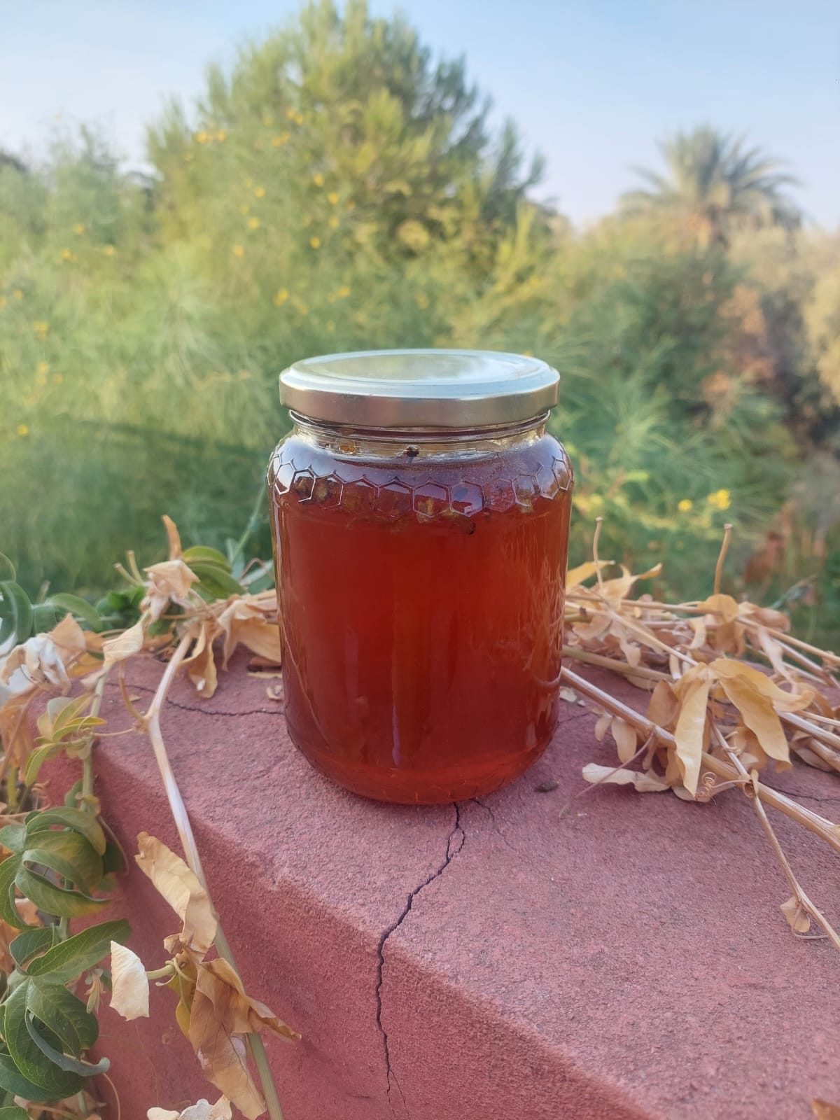 Honey, Organic, Multi Flower. 1Kg