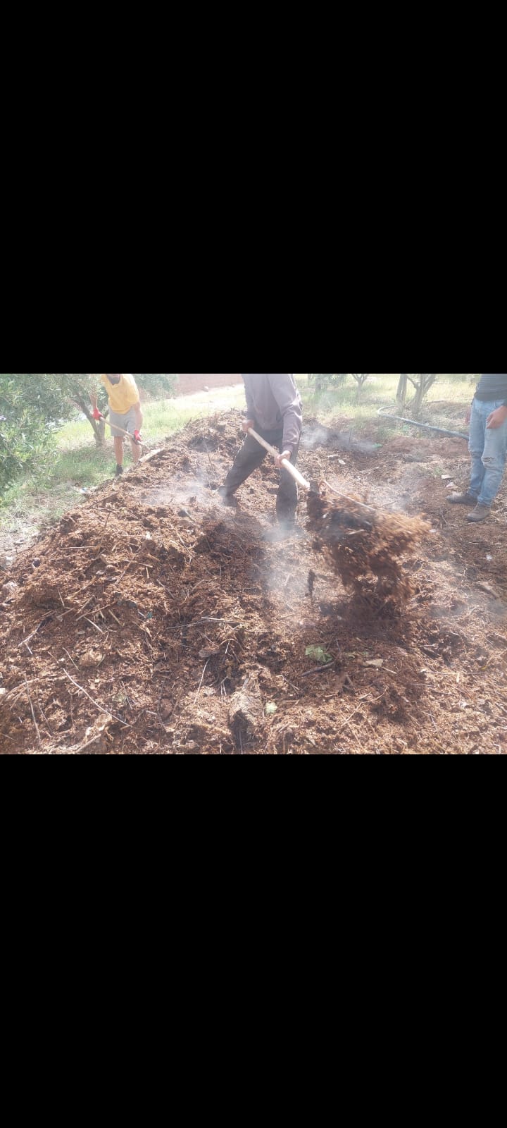 Compost Berkley