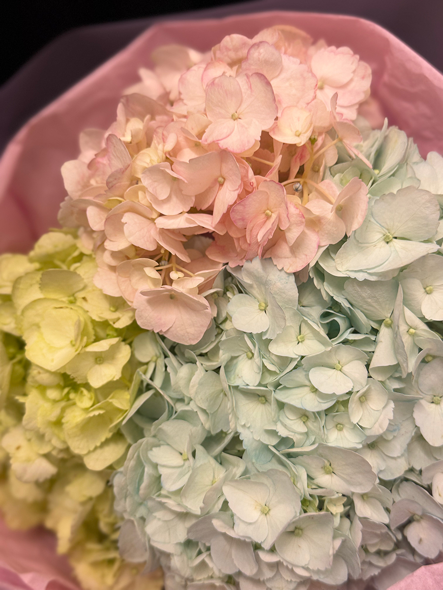 Hortênsia Couture S