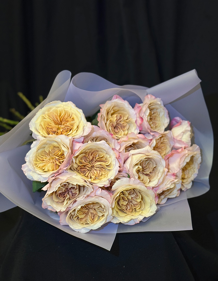 Miyabi Brown Peony Roses L
