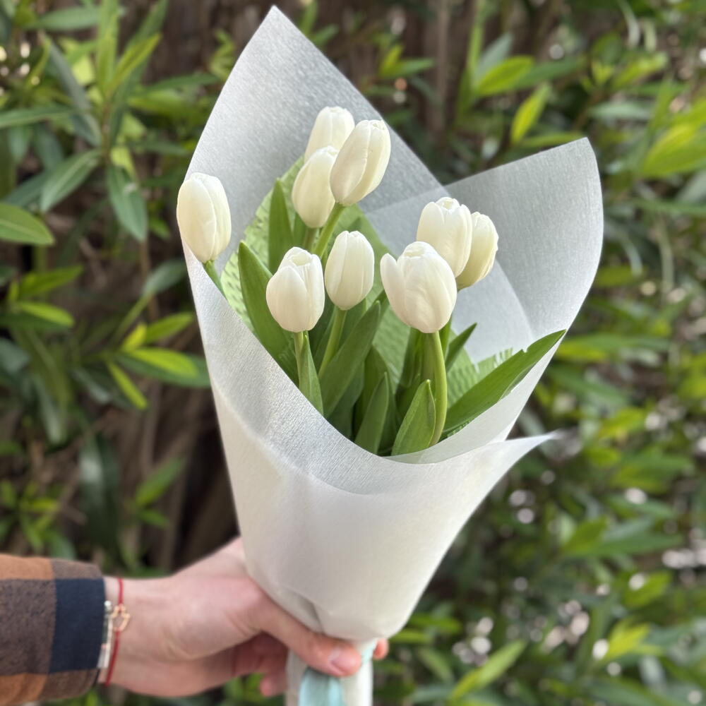 Simple tulips