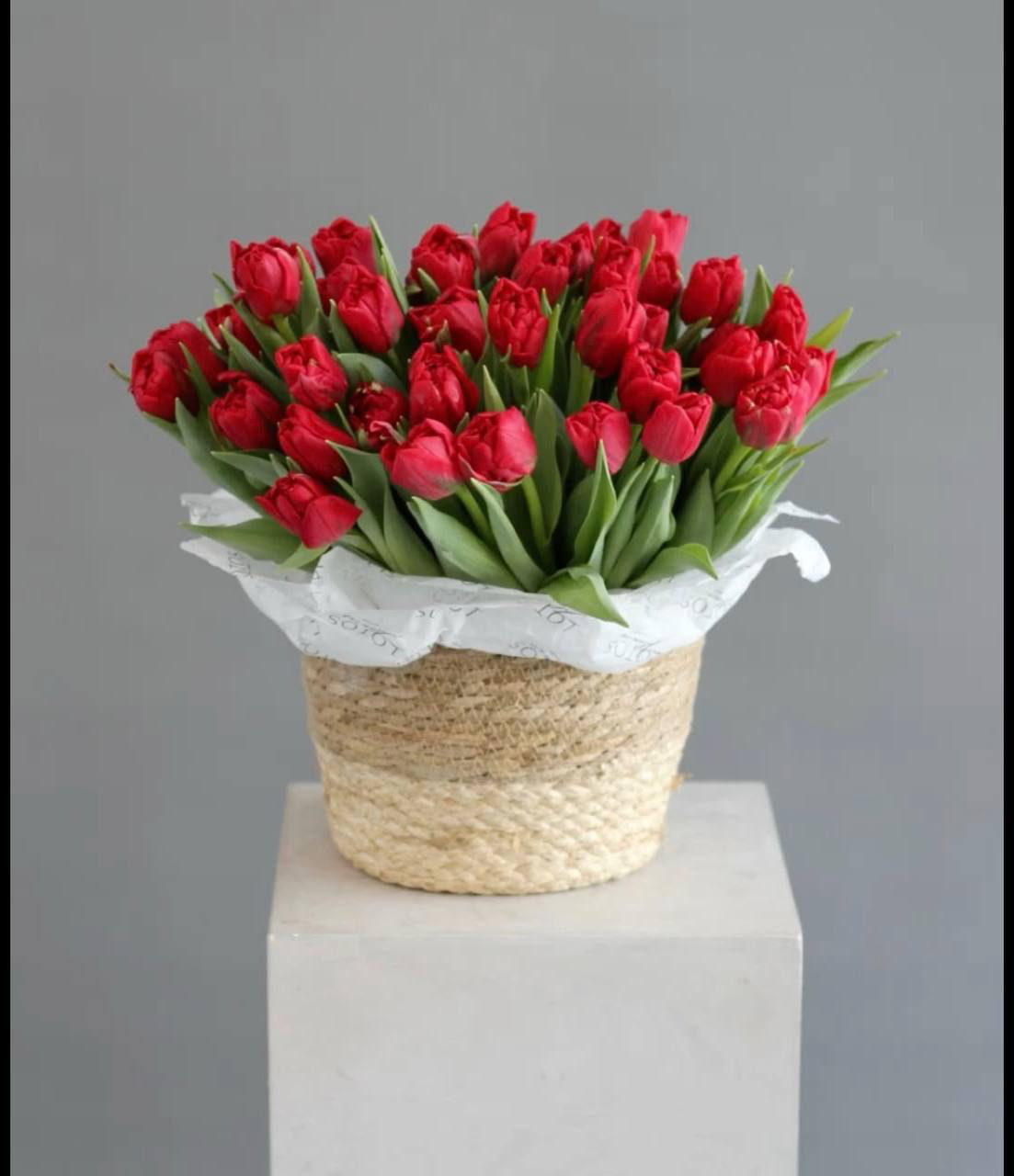 Cesta com Tulipas