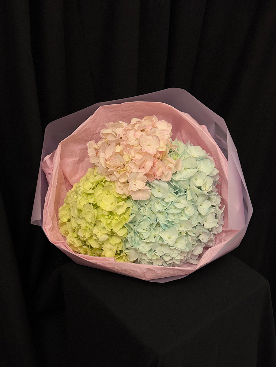 Hortênsia Couture S