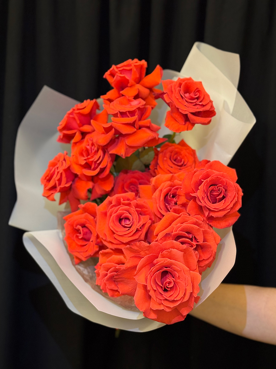 Scarlet French Roses M