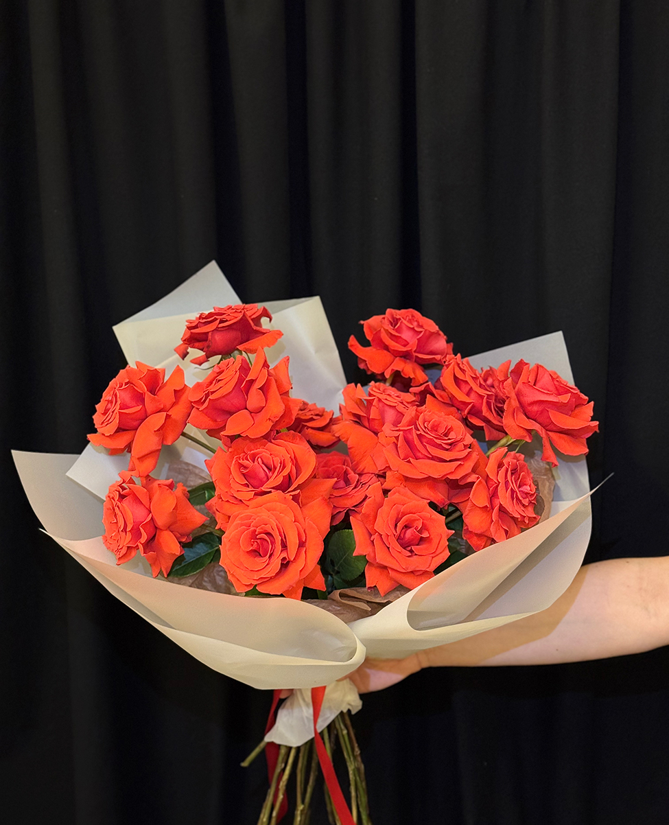 Scarlet French Roses M