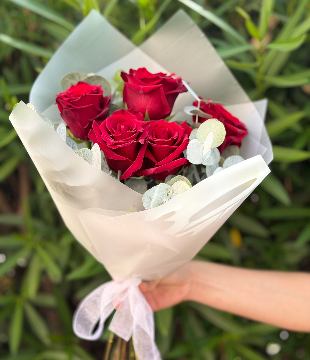 Red Classic S