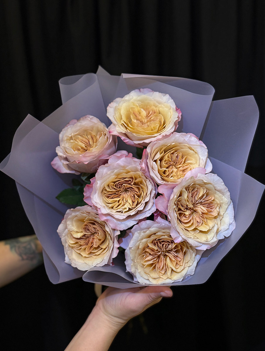 Miyabi Brown Peony Roses S