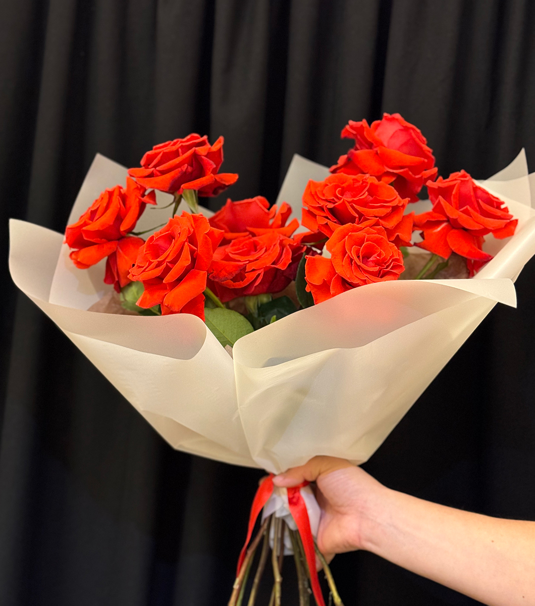 Scarlet French Roses S