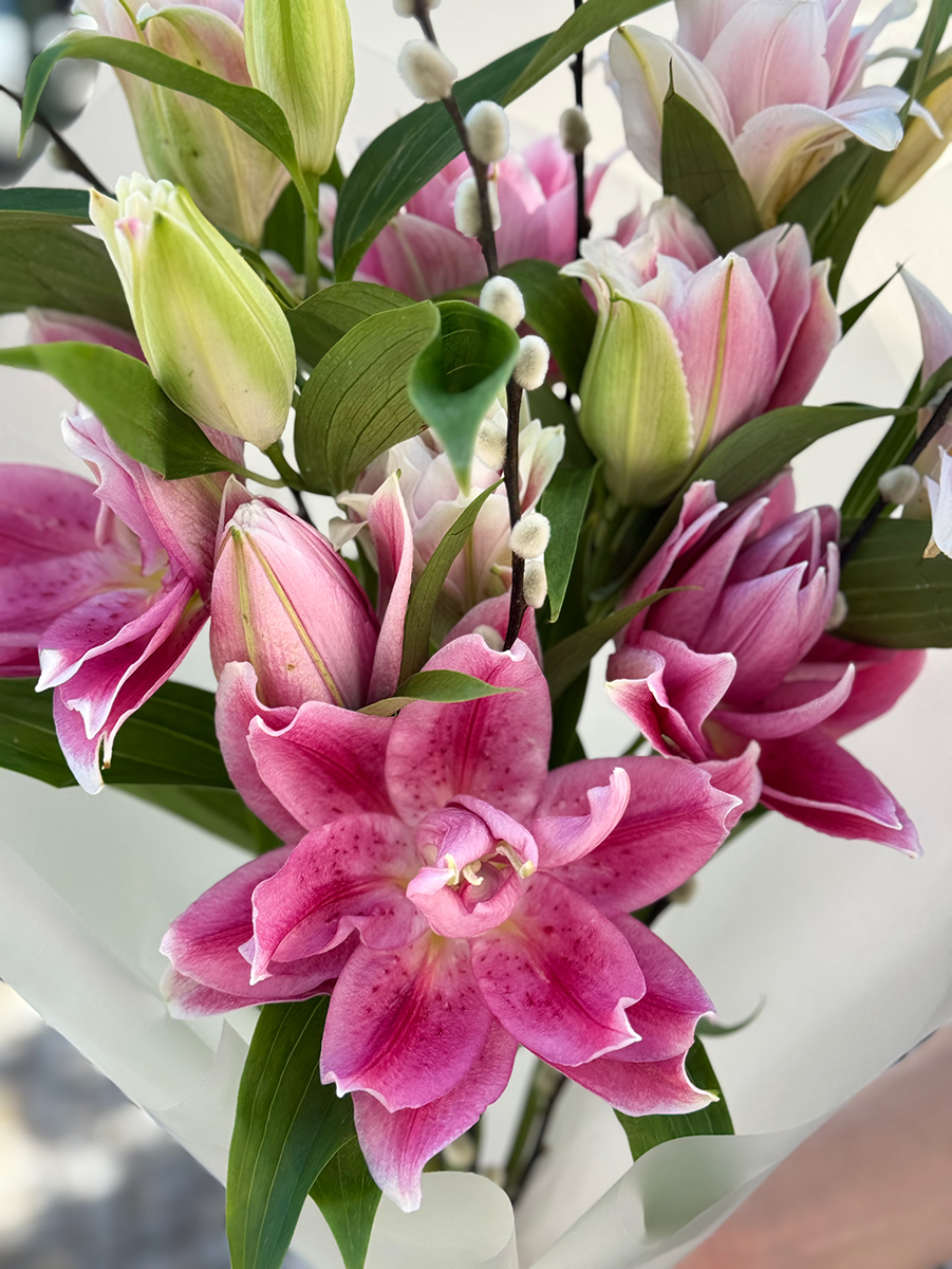 Lunar Lilies (Medium)