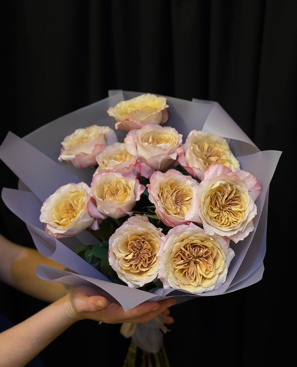 Miyabi Brown Peony Roses M