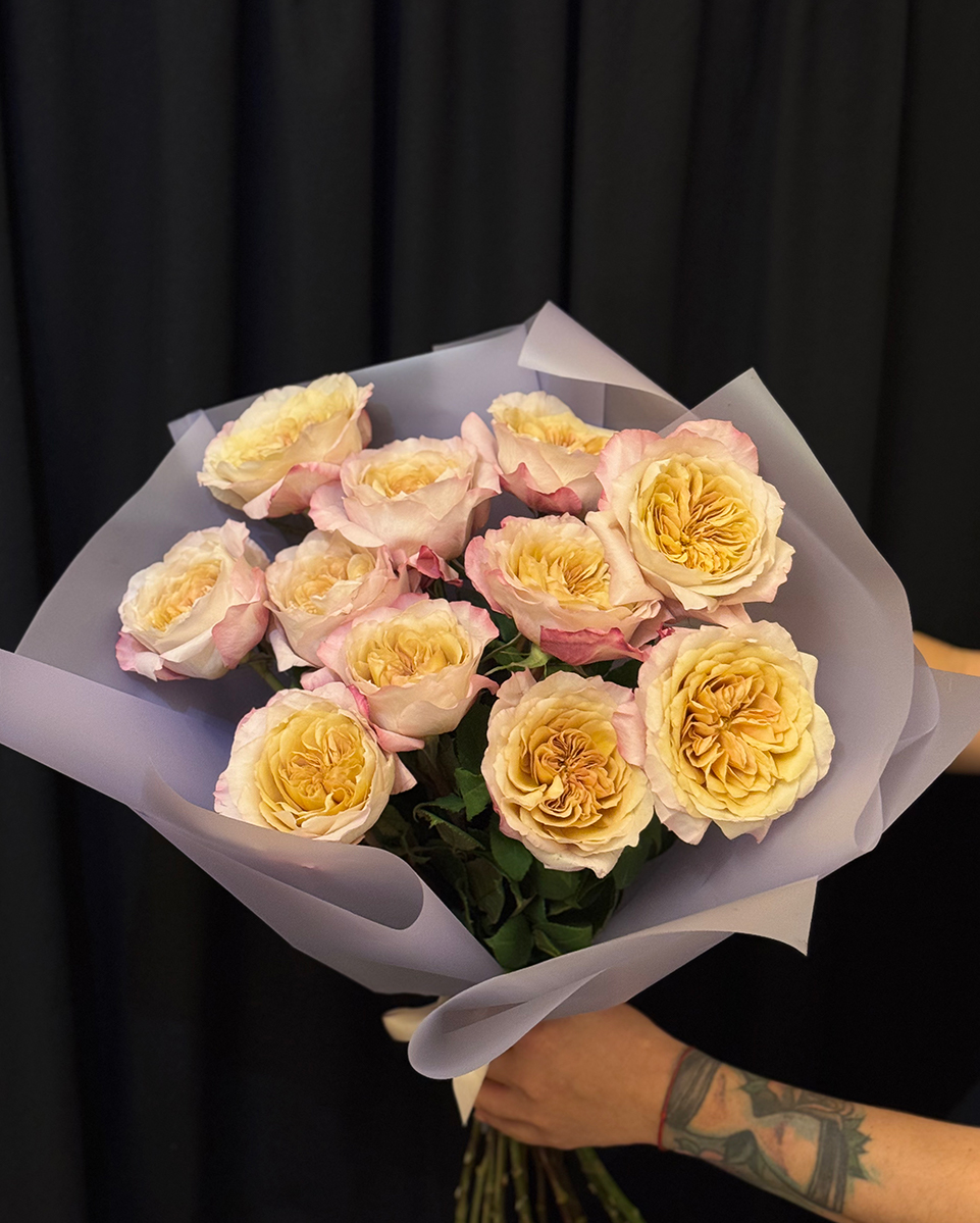 Miyabi Brown Peony Roses M