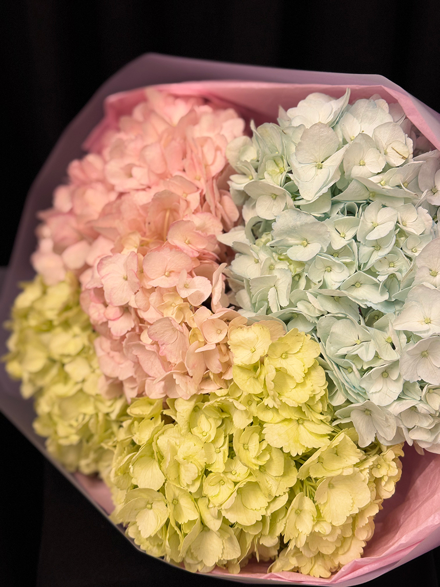 Hortênsia Couture M