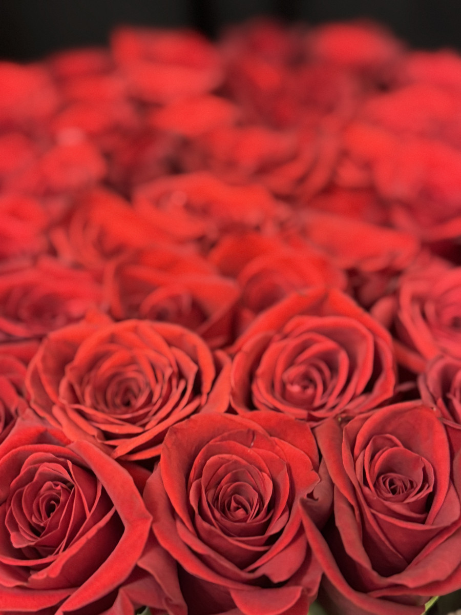 Uma Caixa com 51 Rosas