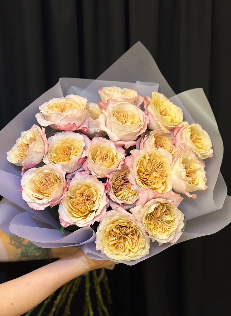Miyabi Brown Peony Roses L