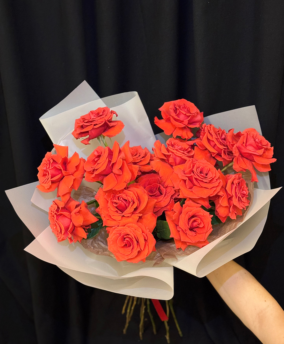 Scarlet French Roses M