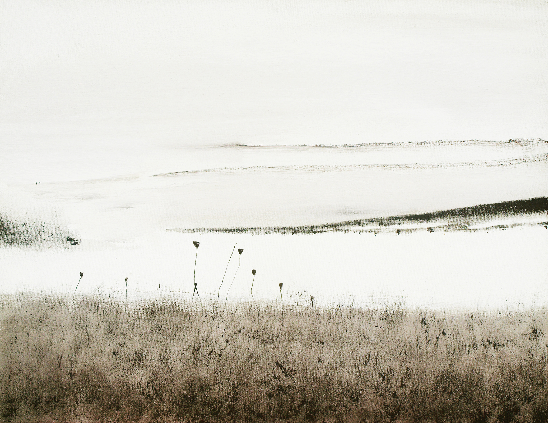 "Les grands Espaces " numéro 1