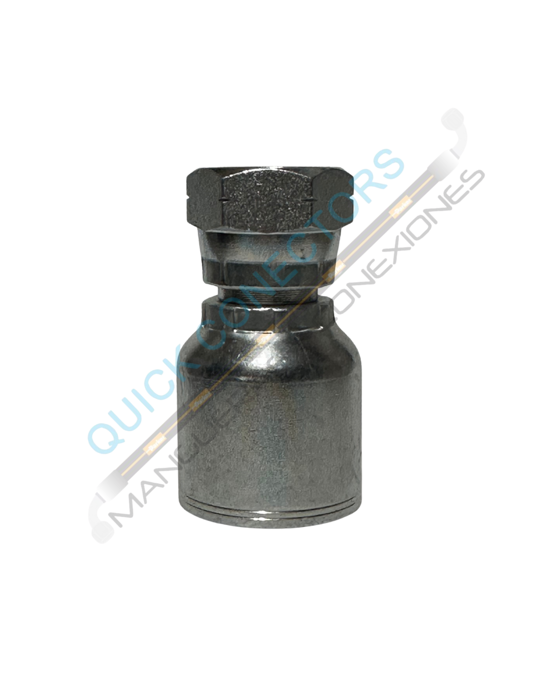 Conexión Hembra BSP   |  19243