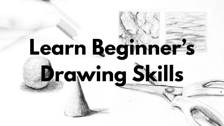Learn Beginner's Drawing Skills