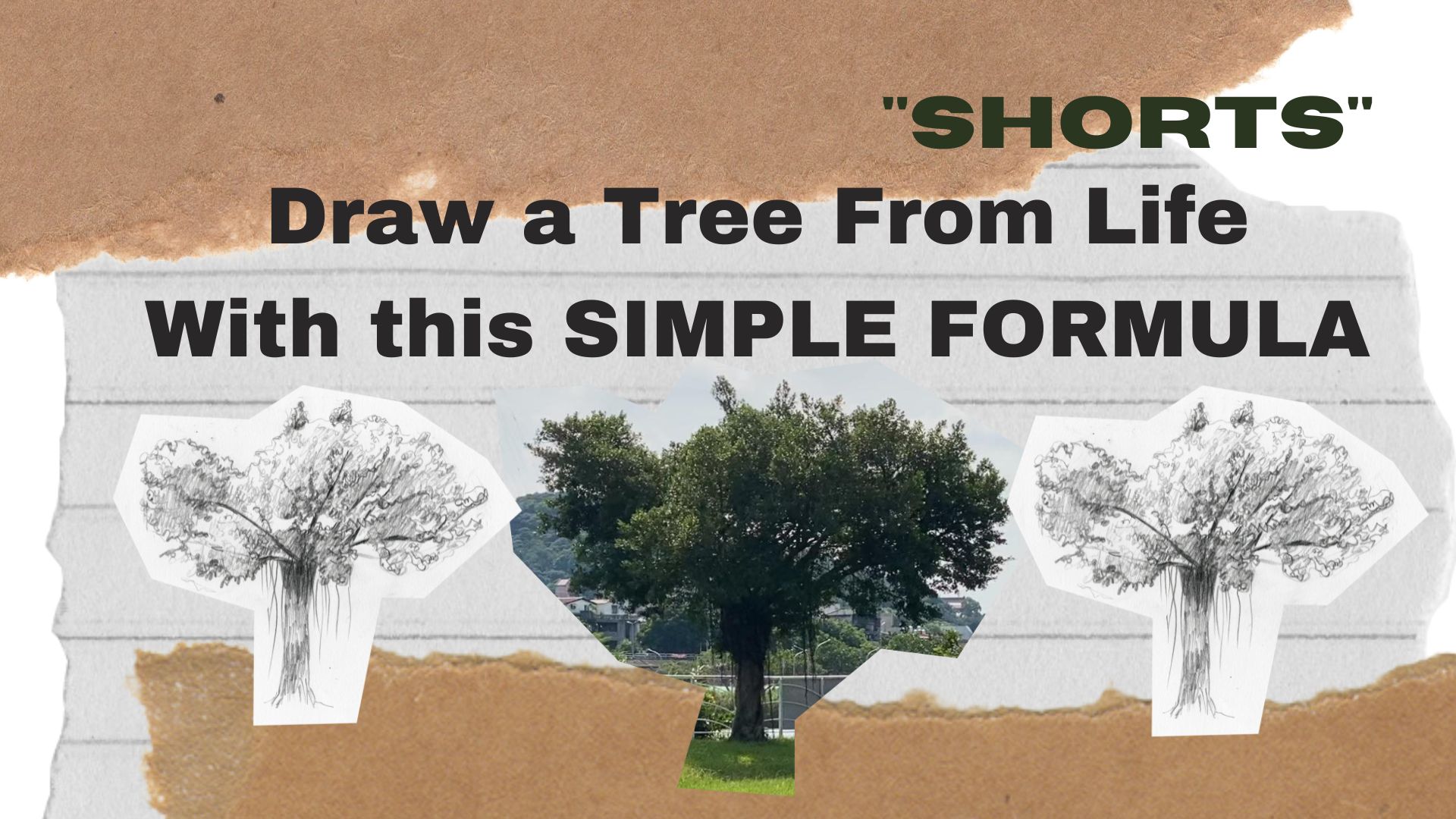 Drawing a Tree From Life