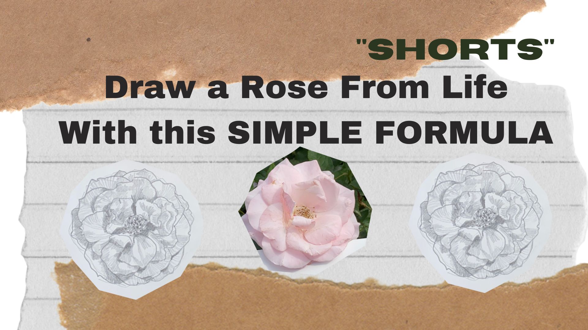 Draw a Rose From LIfe
