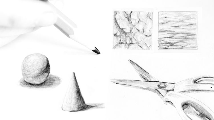 Learn Beginner's Drawing Skills