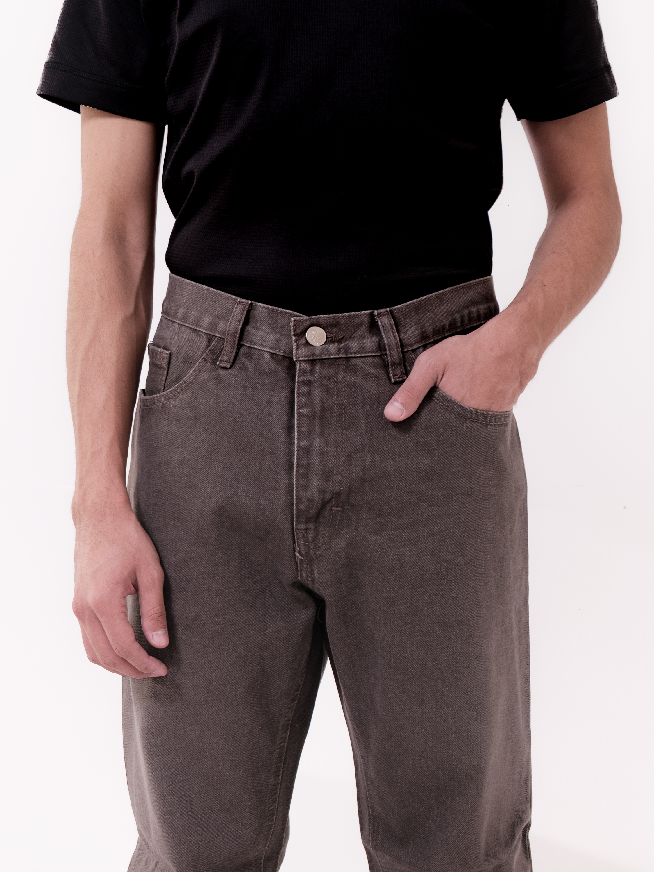 Lobo Clásico: Beige y Cafés