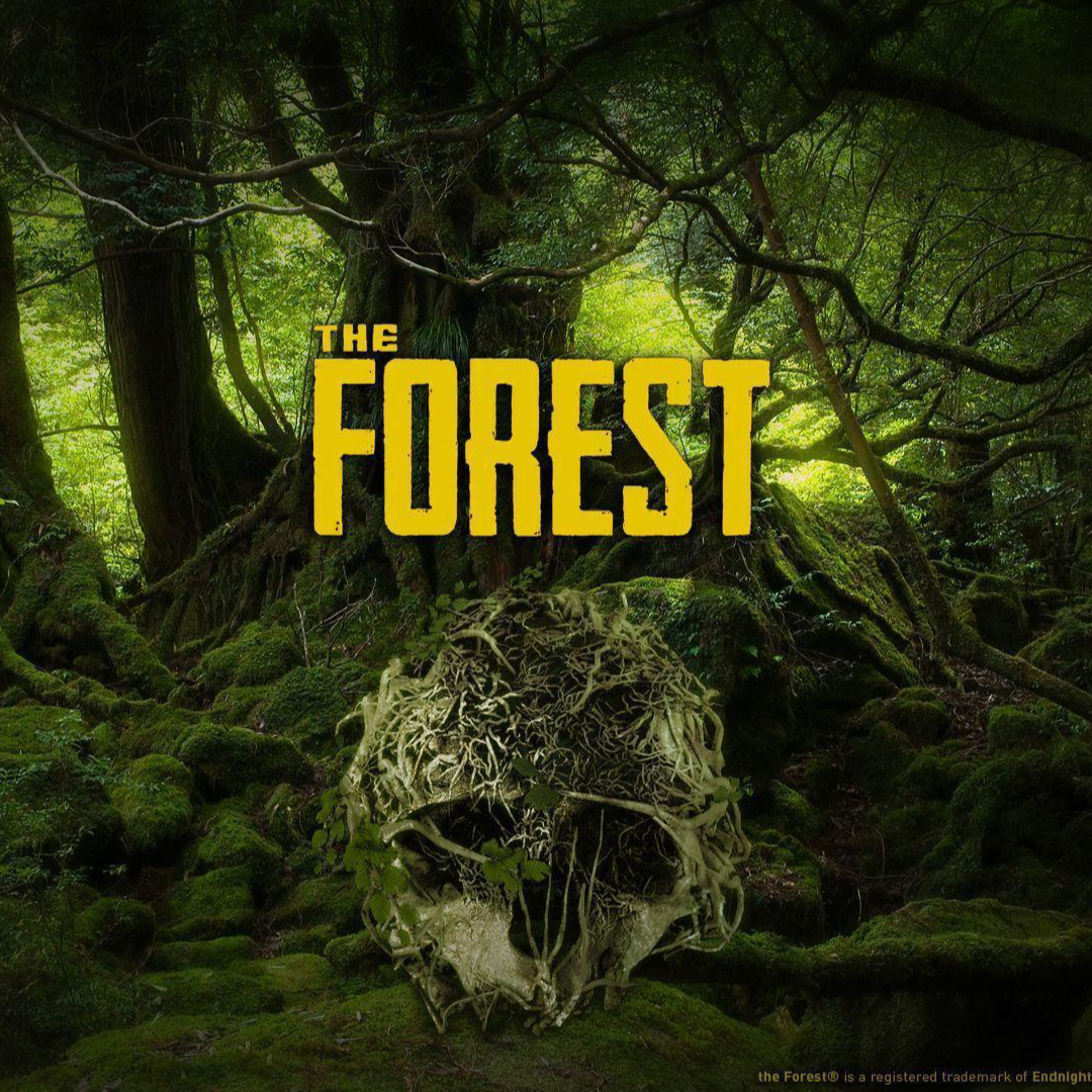 The Forest Bundle
