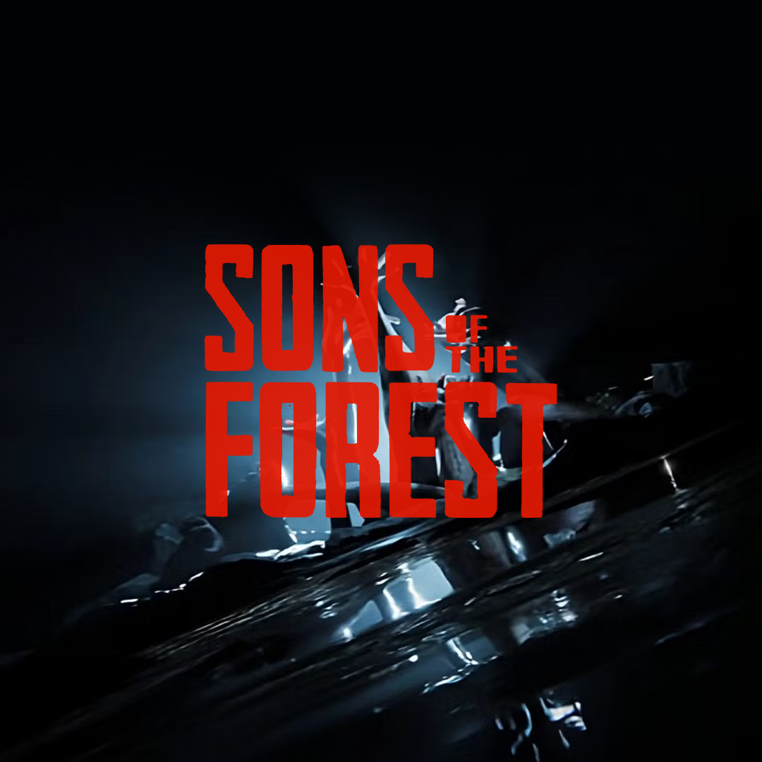 The Forest Bundle