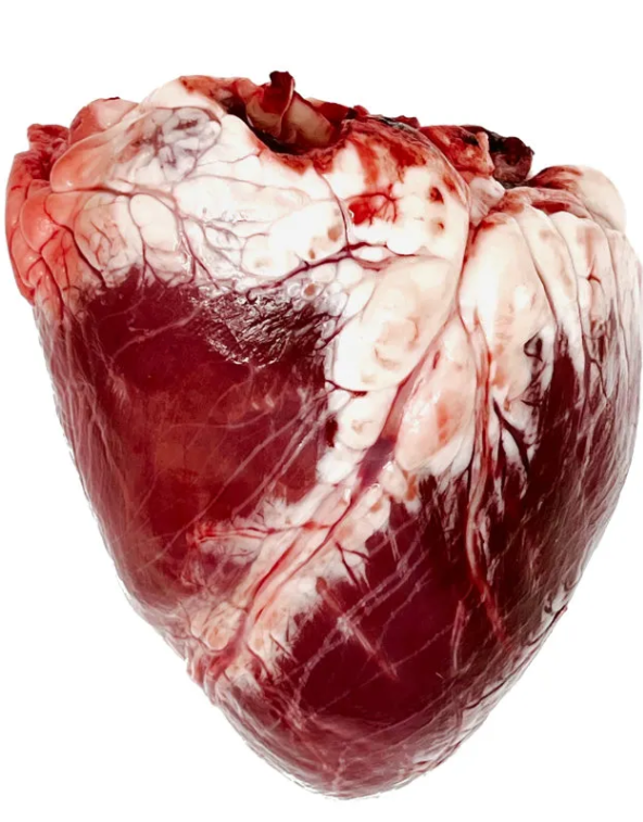 Corazón de ternera (€/kg)