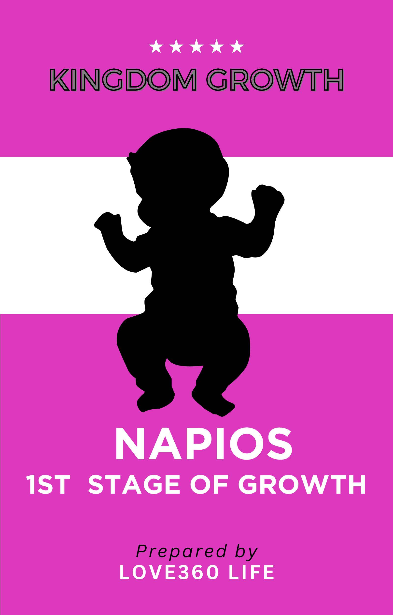 SONSHIP STAGE 1 GROWTH - NAPIOS (E-book)