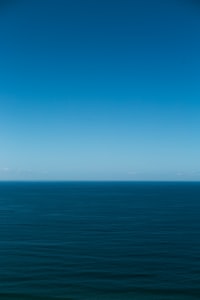 Resetting the Vagus Nerve - Finding Homeostasis