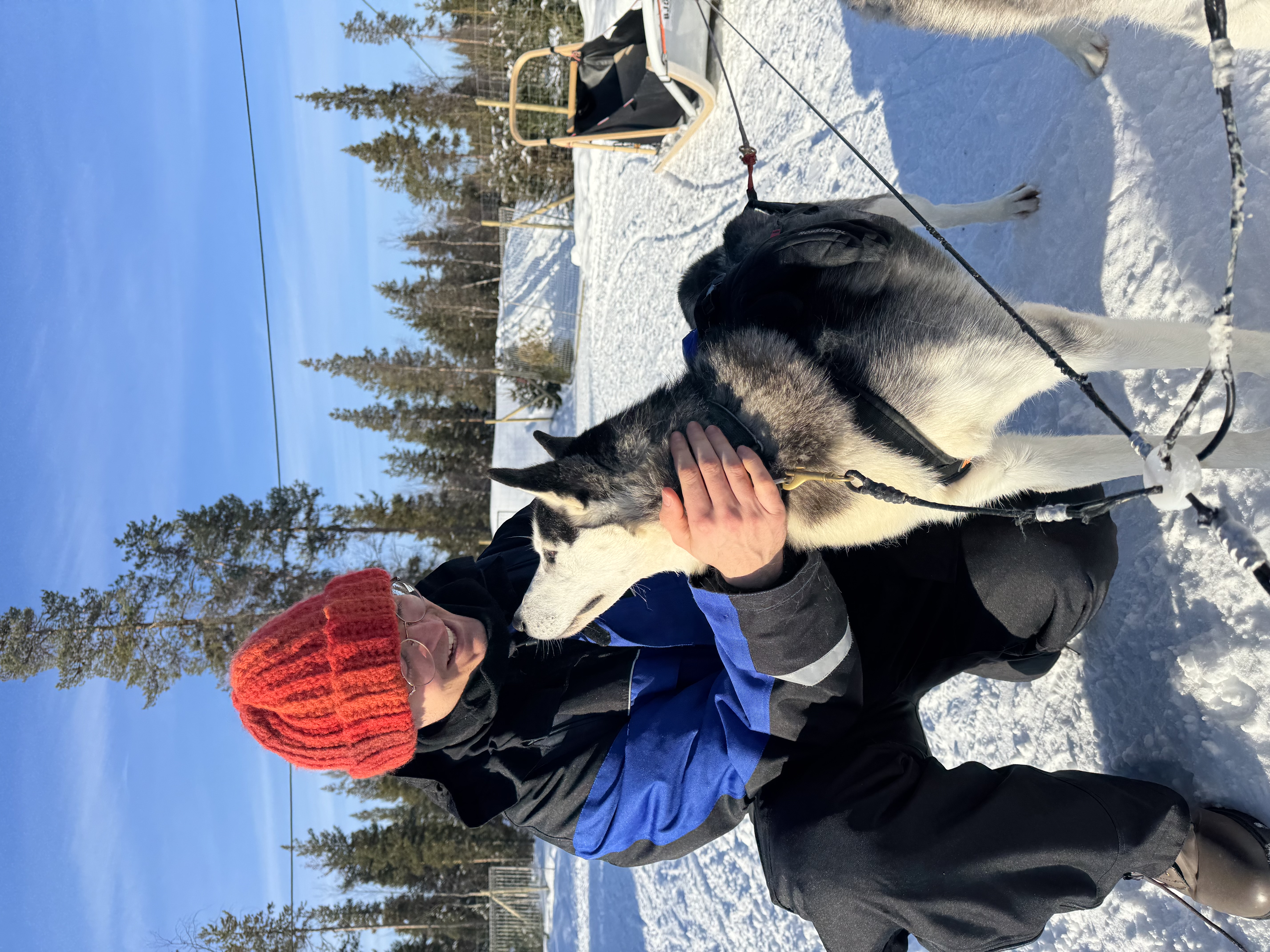 Husky 5 km Safari